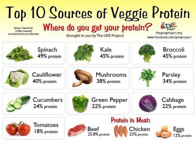 veggie protein.jpg